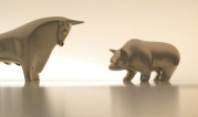 Investment bull and bear