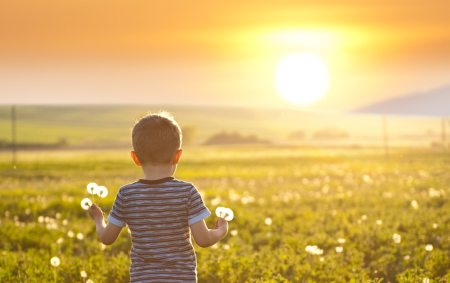Child gathering flowers at sunset